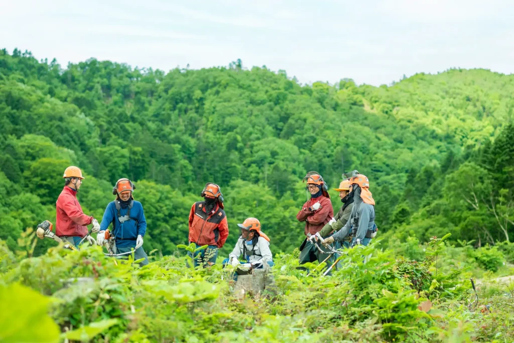 緑豊かな山林で打ち合わせをする森林作業員のグループ