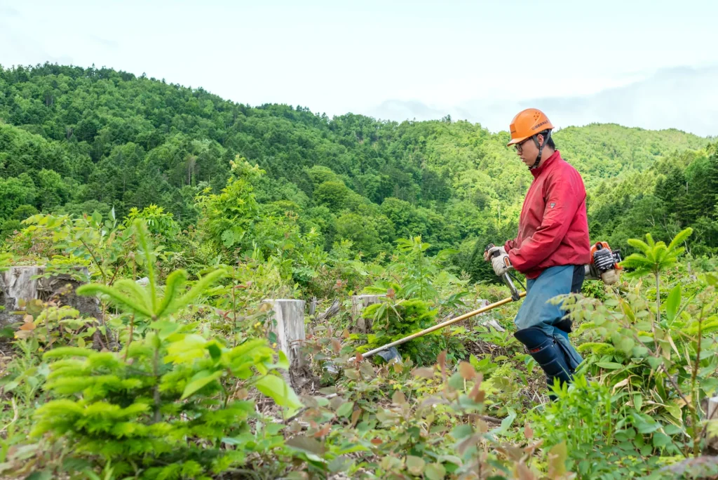 緑の中で草を刈る森林作業員の全身姿
