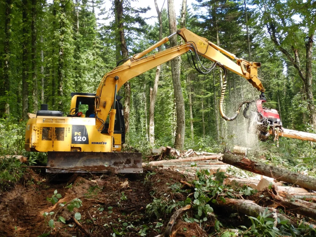 緑豊かな森林で立木を切断する黄色いハーベスタ重機