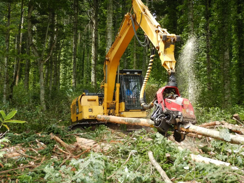 森林の中で倒木を加工する黄色い重機と赤い伐採アタッチメント